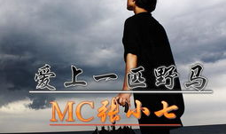 小七歌曲带歌词完整,诗意人生,情感共鸣的旋律之旅