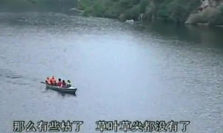 老鬼钓鱼视频大全,视频大全中的垂钓智慧集锦