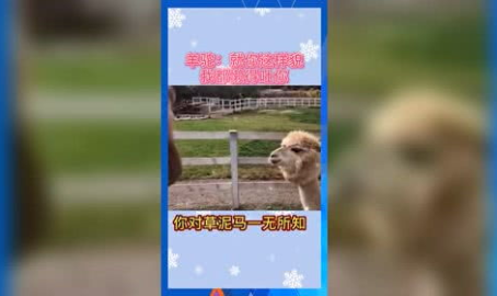 娱乐吃瓜推荐,明星们的幕后故事与吃瓜指南