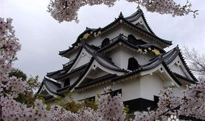日本名古屋旅游攻略,历史文化与现代风情的完美融合