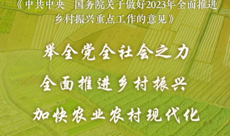 中央一号文件发布,共筑农业强国——中央一号文件解读