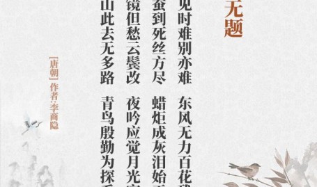 46岁秦岚与魏大勋同居曝光：错失初恋黄晓明回绝陆川求婚-秦岚错过初恋黄晓明回绝陆川4次求婚终被幼10岁魏大勋拿下-佛系落伍的女主播招认金主给的太多了承诺穿黑丝拍摄告白