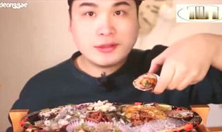 娱乐君吃瓜老绵羊视频,娱乐君视频中的趣味与深度
