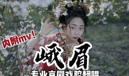 古风歌曲视频全集完整,古风歌曲视频全集赏析