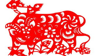 85年属什么生肖,岁月如歌，金牛岁月