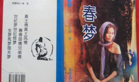春梦小说,春梦中的现实与幻境交织