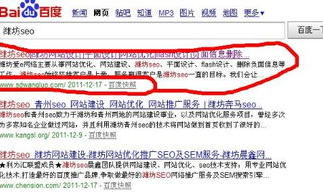 潍坊seo,助力企业提升网络影响力与市场竞争力